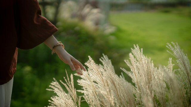 A gentle touch connects with nature