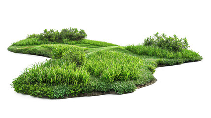 Lush Green Island: A Vibrant Nature Scene