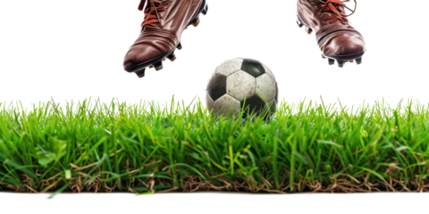 Dynamic Soccer Kick: A Thrilling Moment on the Green Field