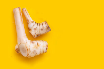 Galangal on a yellow background