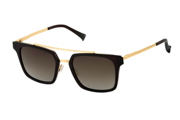 Chic sunglasses frame, gold accents, and gradient lenses for a stylish, modern look. Sophisticated shades featuring a black and tortoise frame with gold-accented arms. Refined and versatile look.