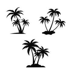 Fototapeta premium coconut tree silhouette white background