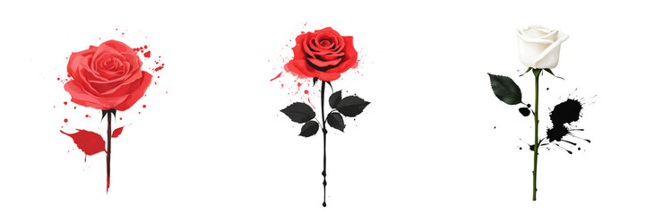 Three roses in vibrant red and white, each with distinct petals and leaves, showcasing beauty and elegance.