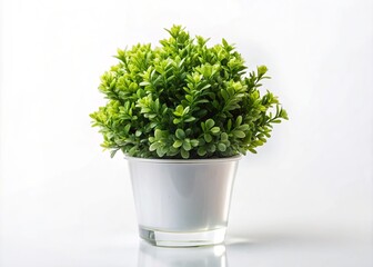 Green and White Artificial Plant with Small Leaves in a Plastic Pot Isolated on a White Background with Copy Space for Home Decor and Interior Design Use