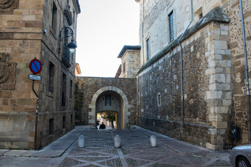 Torres, entradas y muralla de León, España