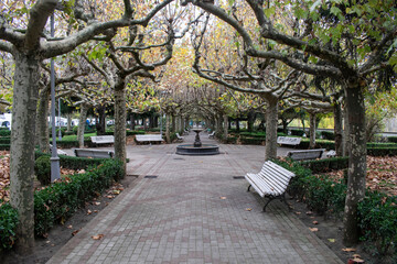 Paseo entre árboles otoñales con fuente de un parque en León, España