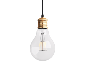 a light bulb with a black cord