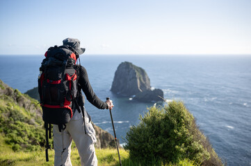 Hiker looking at Piercy Island, also known as The “Hole in the Rock”. Cape Brett Track. Bay of...