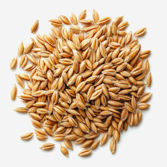 Obraz premium A Close-Up View of Unprocessed Grains Arranged Neatly on a Plain Surface, Emphasizing Natural Textures and Organic Appeal for Culinary or Agricultural Use