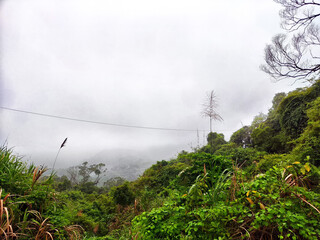 Misty landscape view of lush greenery in a mountainous region on a foggy day © keleny