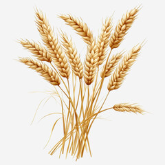 Fototapeta premium A Beautiful Arrangement of Golden Wheat Stalks with Detailed Heads Against a Light Background, Perfect for Agricultural and Natural Themes in Stock Photography