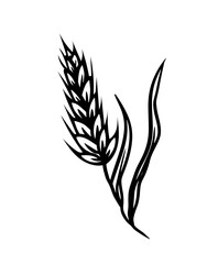 Wheat black icon on white background hand drawing doodle style