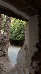 Obraz premium Natural fram