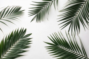 Obraz premium Dark green palm leaves scattered across a white surface in loose arrangement evoking sense of freedom and spontaneity, dark green palm leaf, airy feel, relaxed atmosphere, bohemian vibe