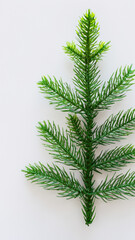 Christmas tree with branches isolated on white background for winter holiday decoration