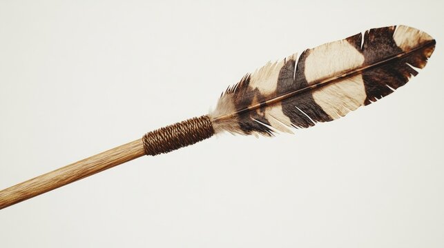 Wooden arrow with intricate feather fletching showcasing traditional archery craftsmanship against a clean white background.