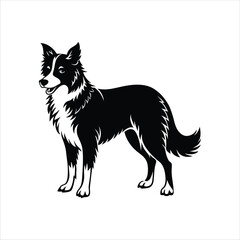 Fototapeta premium Iconic Border Collie Dog Silhouette Design