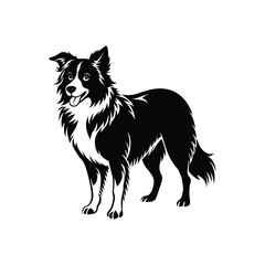 Fototapeta premium Detailed Border Collie Dog Silhouette Graphic Art