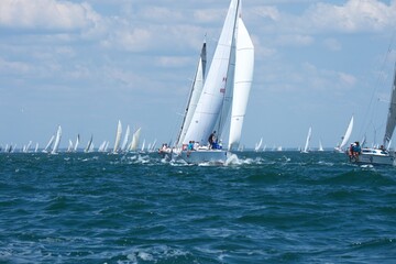 Obraz premium 18 Heures d'Arcachon Régate de Voiliers Bateaux à voile