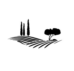 vineyard vector illustration rural landscape
