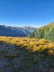 Obraz premium Penser Joch