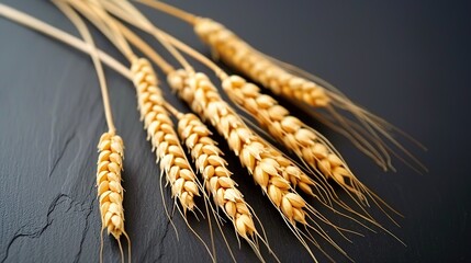 Wheat Ears on a Black Background - a striking and rustic visual. The dark background highlights the golden wheat, creating a contrast that is both elegant and natural.