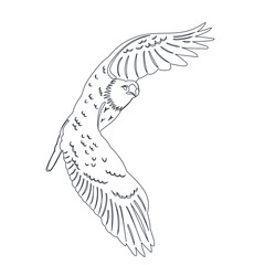 bird flying sketch on white background, vector
