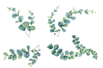 Watercolor Eucalyptus branches set. Big collection of hand painted botanical illustrations isolated on white. Abstract Transparent leaves bundle