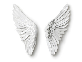 Obraz premium 3d White Angel wings isolated on white background