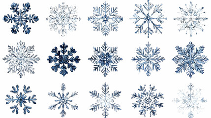 Collection of Detailed Watercolor-Style Snowflakes on White Background, Winter Holiday Design Elements