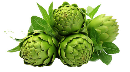 Fototapeta premium Fresh Green Artichoke with Leaves Isolated on Transparent Background