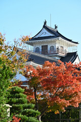 Naklejka premium 富山城と紅葉