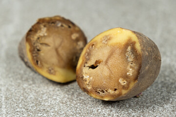 Close-up of cut rotten potatoes