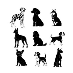 Collection of various dog breeds illustrated in black and white on a minimalist background