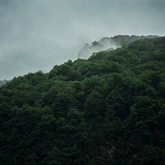 Foggy morning in the forest of Peneda Gerès, Portugal
