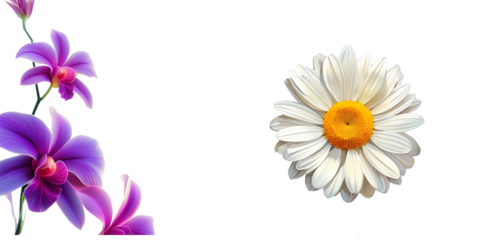 Vibrant orchids and a cheerful daisy brighten up any space in captivating harmony