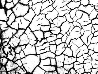 The cracks concrete texture white and black overlay