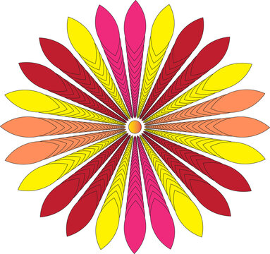 Manda Illustration design