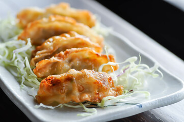chinese dumpling, dumpling or wonton or fried wonton or gyoza or Japanese fried dumpling