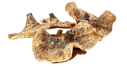 Fototapeta premium Thepla isolated on transparent background, PNG
