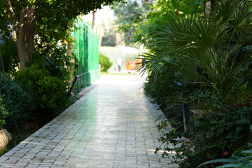 Fototapeta premium path in the park