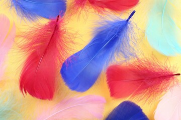 Fluffy feathers on yellow background, flat lay