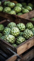 Obraz premium Custard apples in a wooden box at the market, with the focus on the green fruit with a hard skin and soft texture