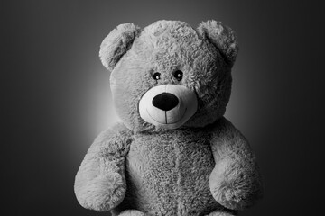 Portrait eines Teddy Kuscheltiers