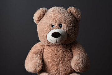 Portrait eines Teddy Kuscheltiers