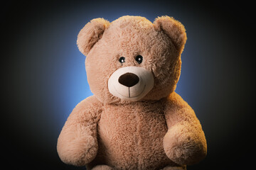 Portrait eines Teddy Kuscheltiers