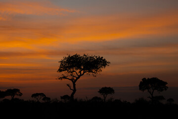 lever de soleil dans le Parc National Kruger, Afrique du Sud