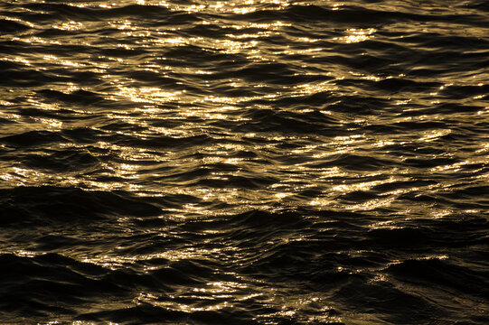 Golden sunlight reflecting on rippling sea water surface