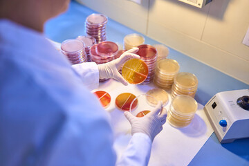 Hygienic-Sanitary Bacteriologic Lab Services for Food Industry