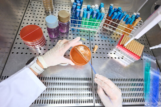 Food and Water Analysis and Hygienic-Sanitary Advice Services